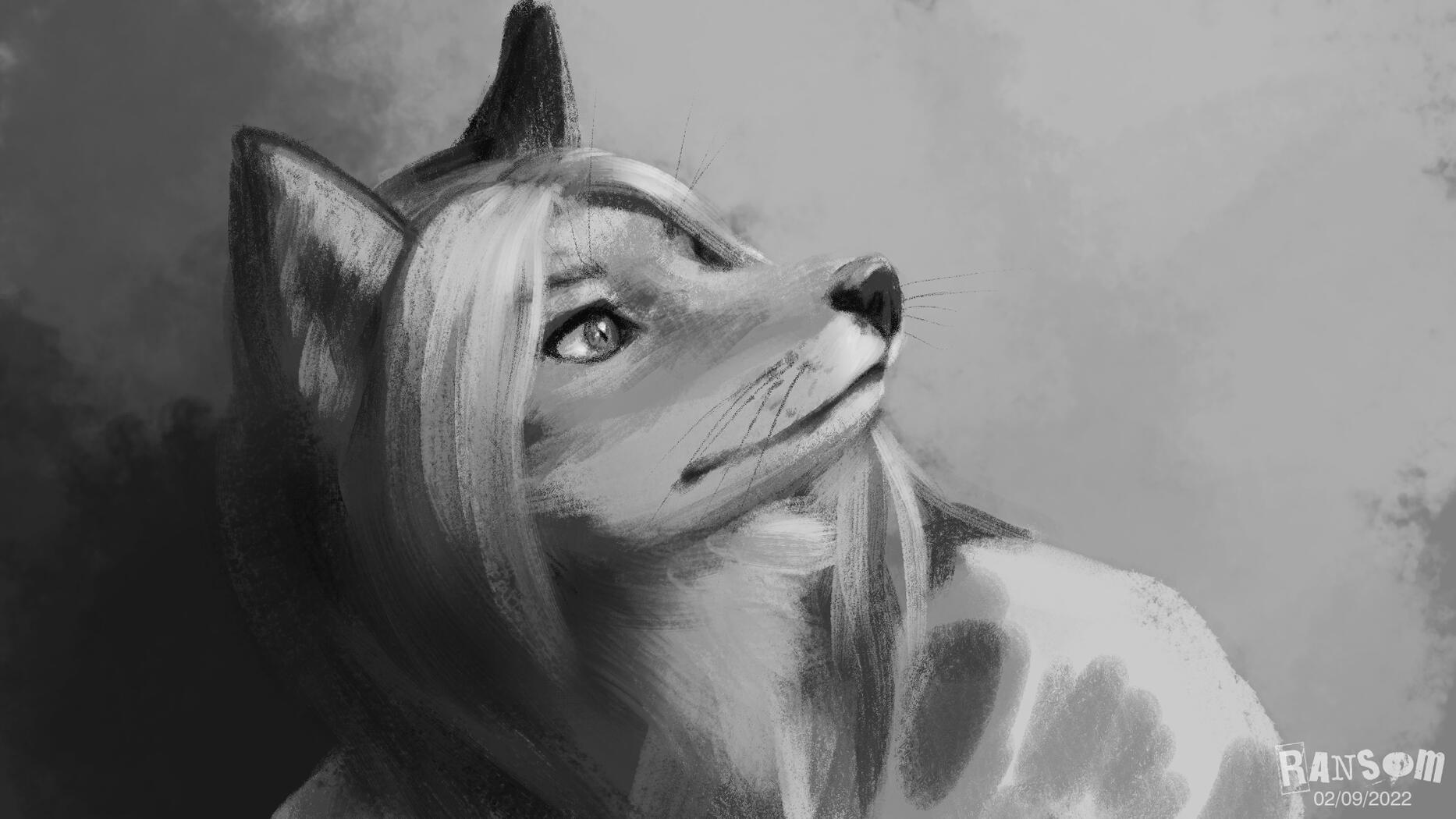 Foxxie Foxxie