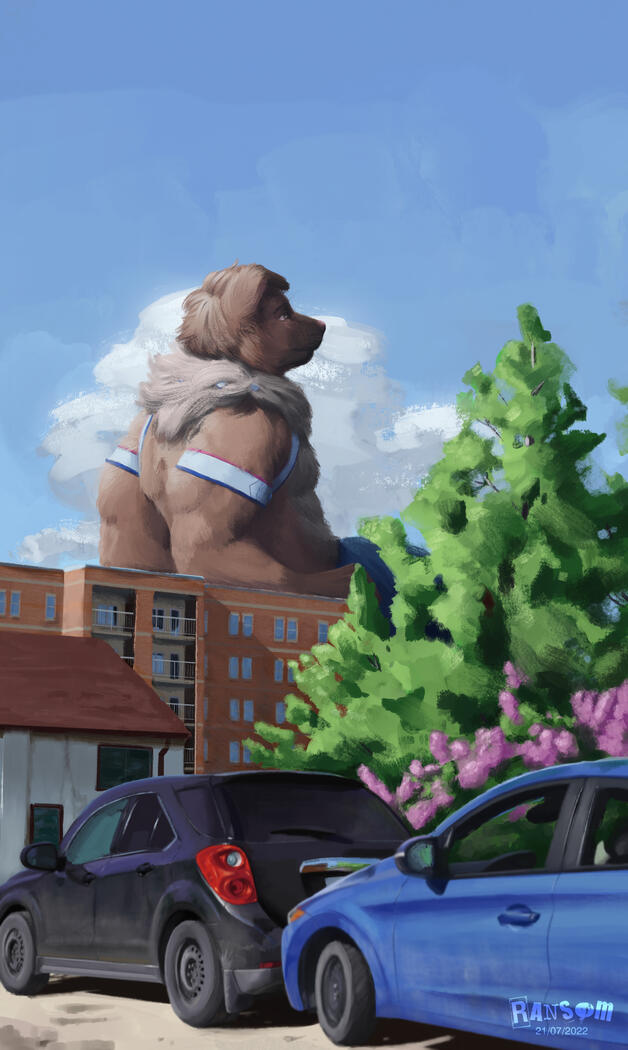 Ruff